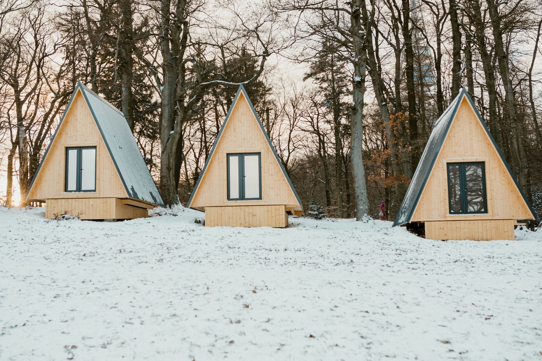 Minimalist Scandinavian wooden house in winter forest